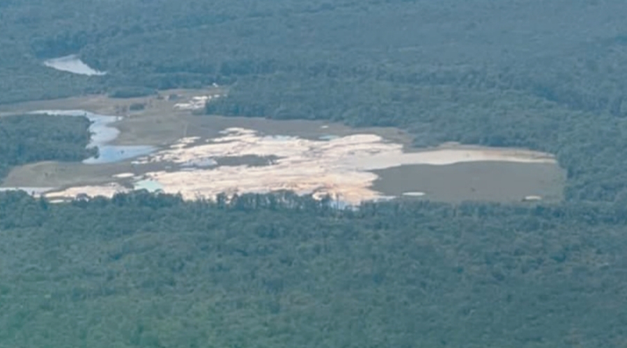 Hundreds of hectares of pristine rainforest destroyed by illegal mining ...